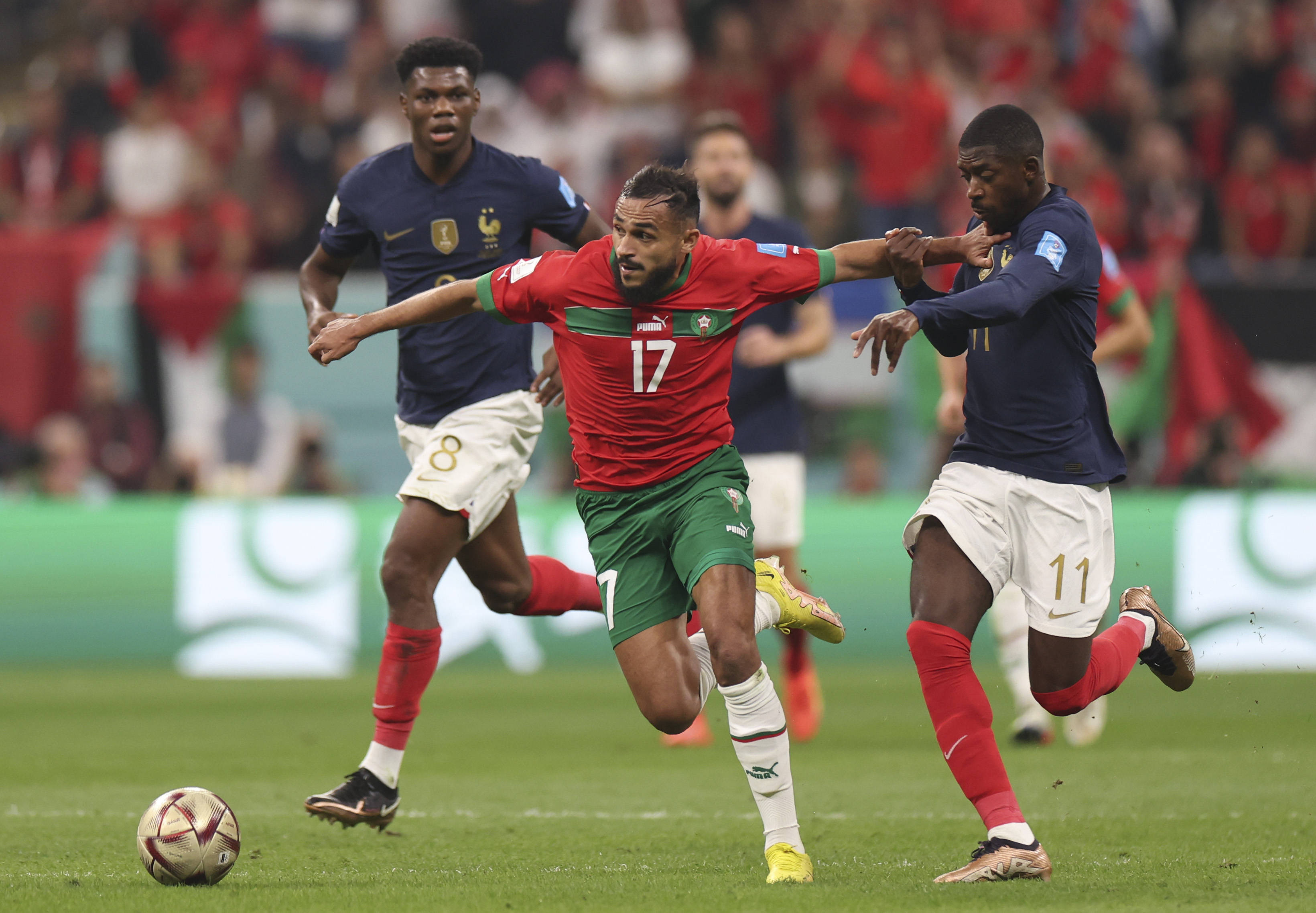 球队公布了 球队公布了